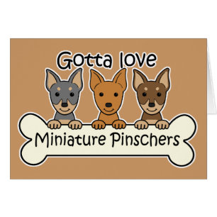 Tres Pinschers miniatura