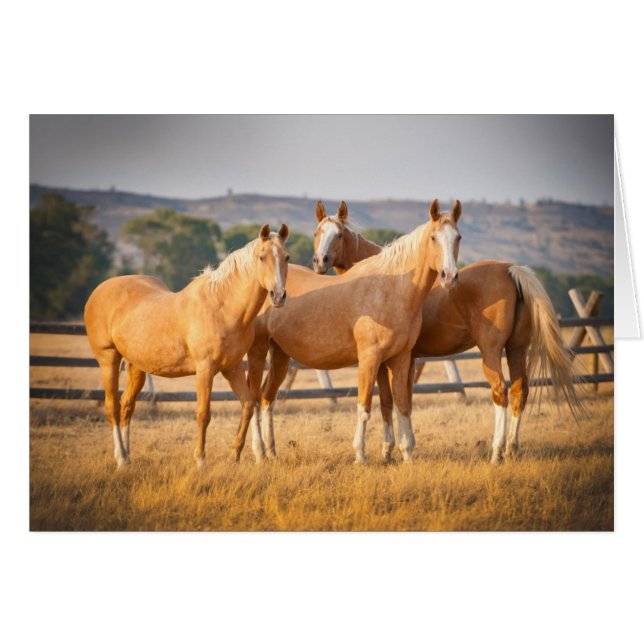 Tres ponies palominos (Anverso (Horizontal))