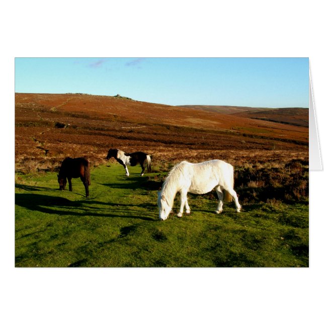 Tres ponis en Dartmoor (Anverso (Horizontal))