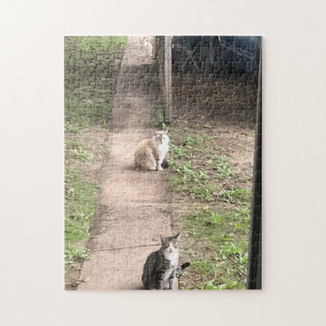 Tres rompecabezas de gatos (Vertical)