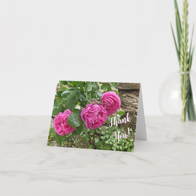 ¡Tres rosas rosadas/Gracias! (Anverso)
