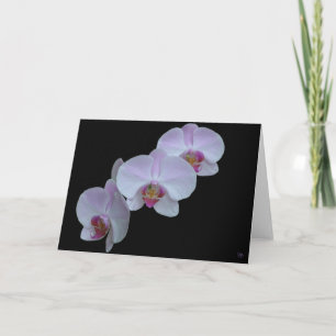 Tres Tarjetas de Felicitación de Orquídeas