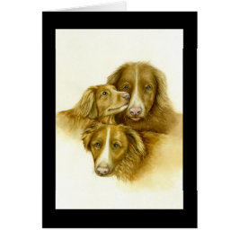 Tres tarjetas de recuperación de peaje de pato de