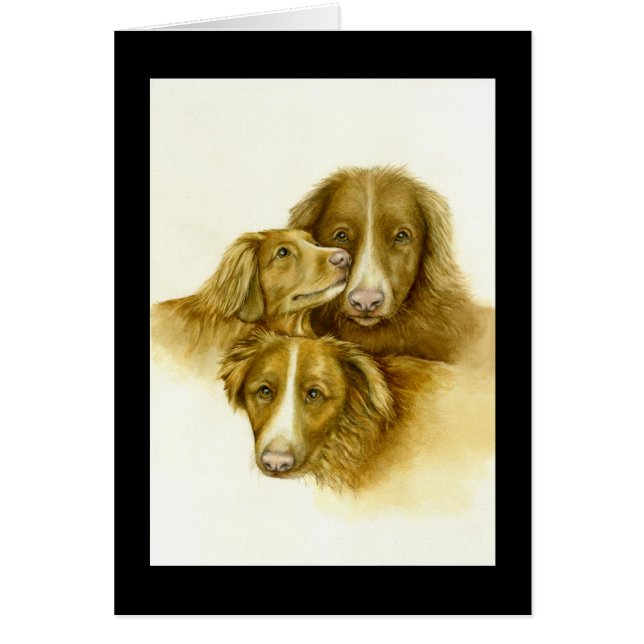 Tres tarjetas de recuperación de peaje de pato de  (Frente)