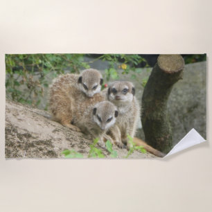Tres Toalla De Playa Cute Meerkat