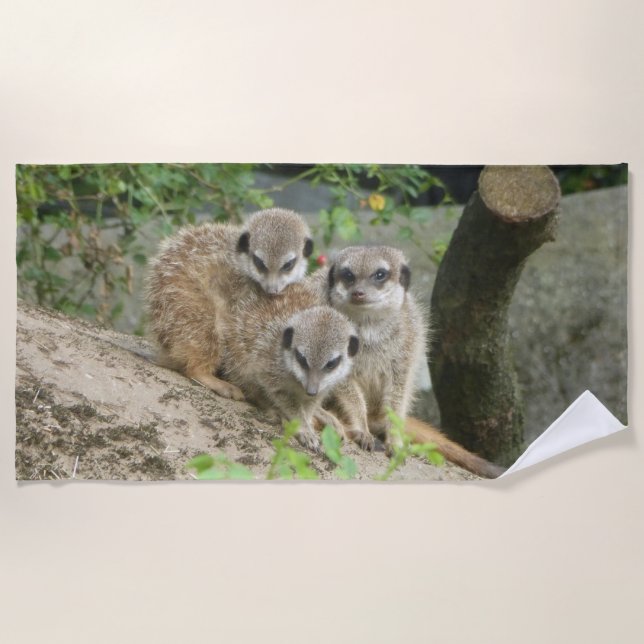 Tres Toalla De Playa Cute Meerkat (Anverso)