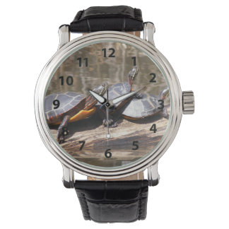 Tres Tortugas En Un Reloj De Registro