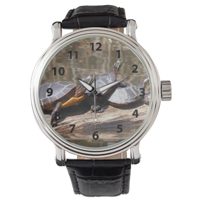 Tres Tortugas En Un Reloj De Registro