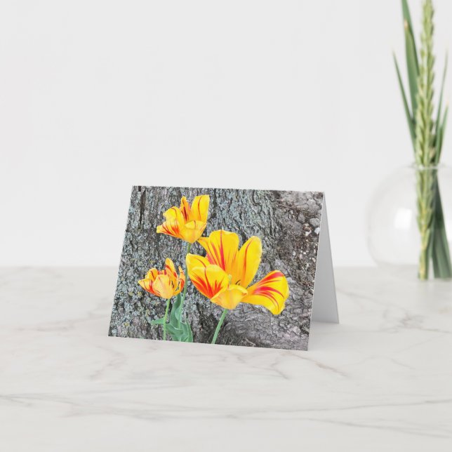Tres Tulipanes Amarillos Secuencia / Doblado (Anverso)