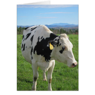 Tres vacas de piernas 5x7