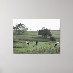 Tres vacas en arte de pared fotográfico de campo