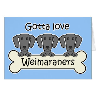 Tres Weimaraners