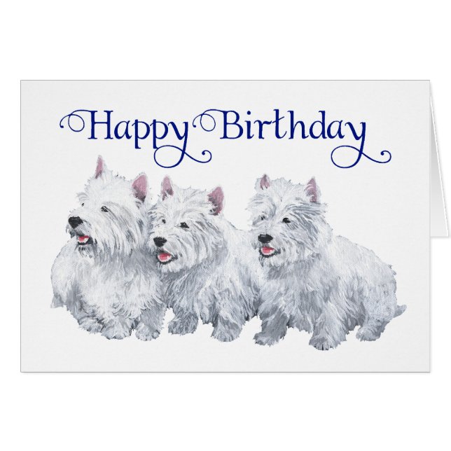 Tres West Highland White Terriers (Anverso (Horizontal))