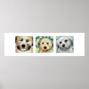Tres Wheaten Terrier pinturas divertidas arte de p