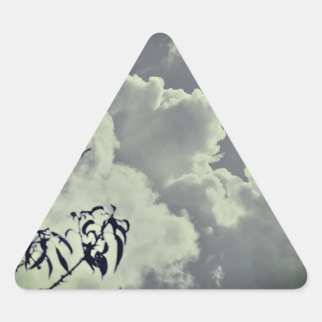 Triangular Pegatina (Anverso)