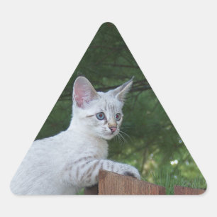 Triangular Pegatina de triángulo de gato de Savannah blanco