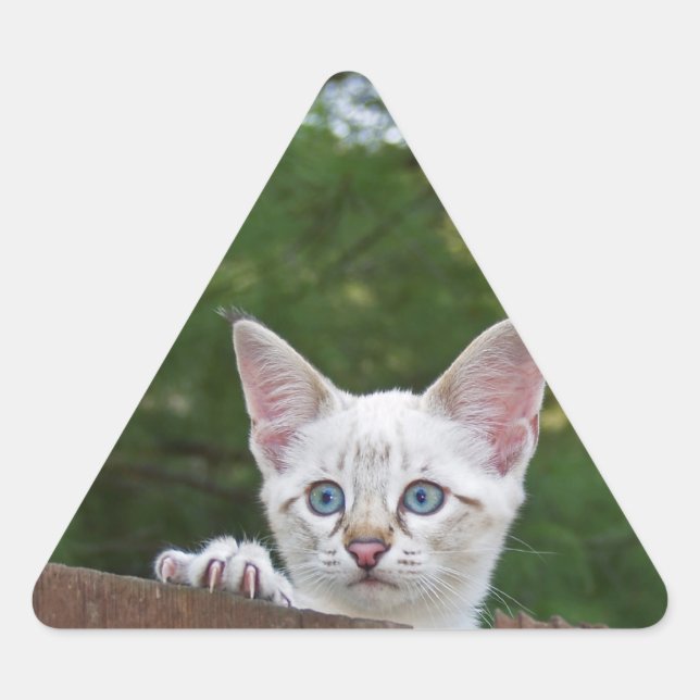 Triangular Pegatina de triángulo de gato de Savannah blanco (Anverso)