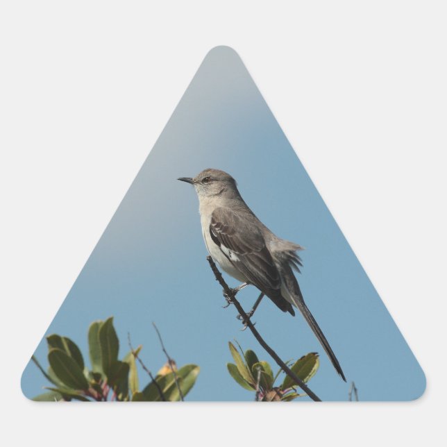 Triangular Pegatina Mockingbird (Anverso)