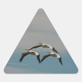 Triangular Pegatina Pelícano Volante