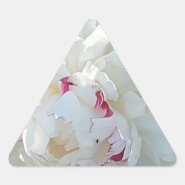 Triangular Pegatina Romantic Peony Triangle (Anverso)