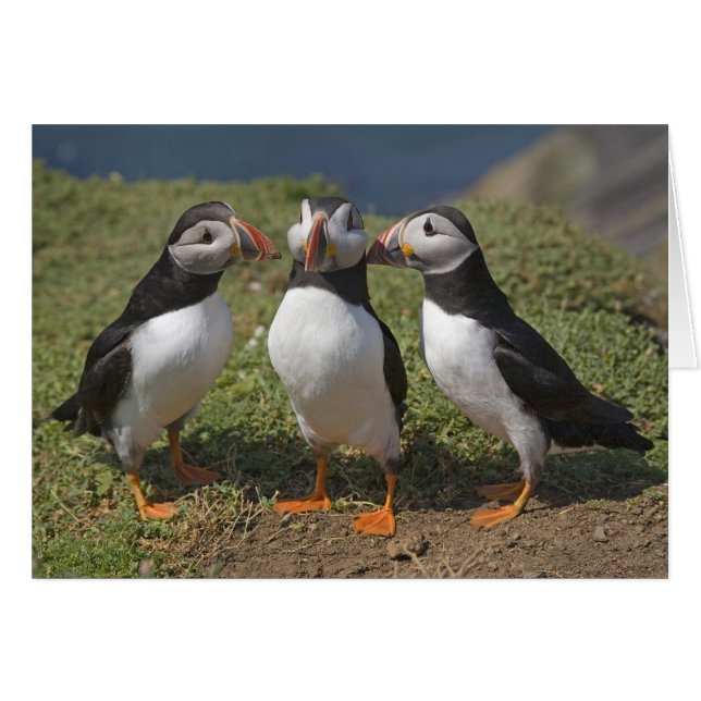 Triángulo de amor (Anverso (Horizontal))