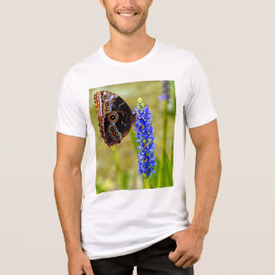 Triblenda Mariposa morfo azul en una camiseta de orquídea pa