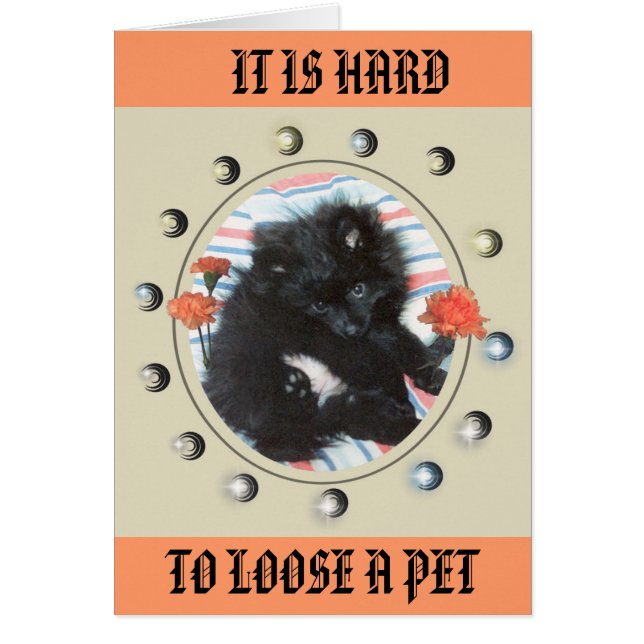 TRIBUTO A MI MINDY (Frente)