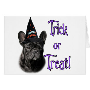 Trick de Bulldog francés