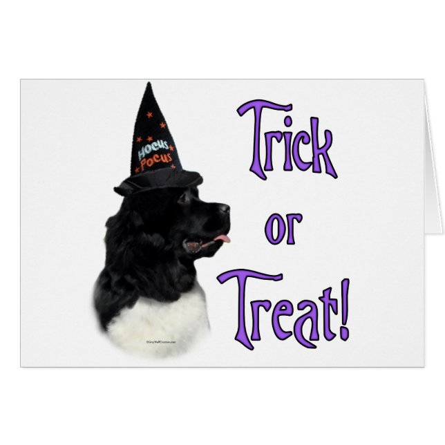 Trick de Newfoundland (landseer) (Anverso (Horizontal))