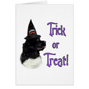 Trick de Newfoundland (landseer)