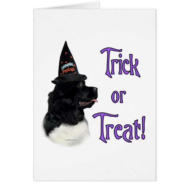 Trick de Newfoundland (landseer) (Frente)