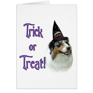 Trick de pastor australiano