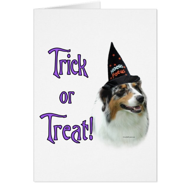 Trick de pastor australiano (Frente)