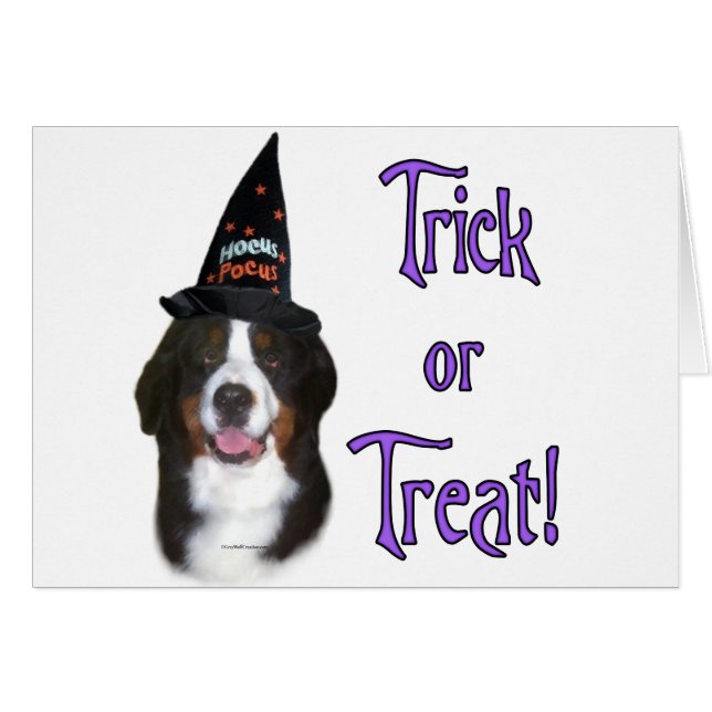 Trick de perro de montaña de Bernese (Anverso (Horizontal))