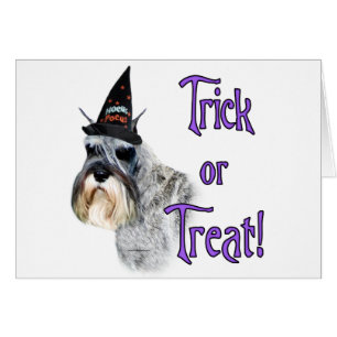 Trick de Schnauzer en miniatura