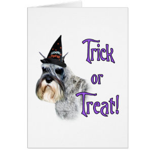 Trick de Schnauzer en miniatura