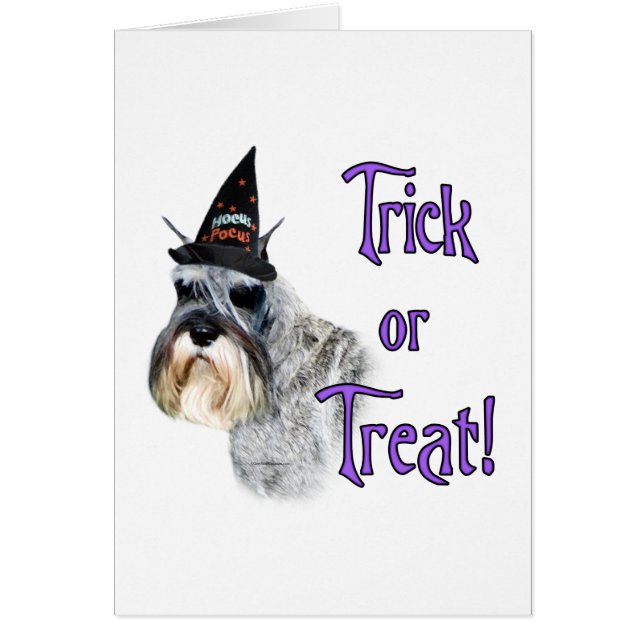 Trick de Schnauzer en miniatura (Frente)