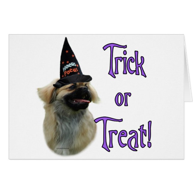 Trick español tibetano (Anverso (Horizontal))