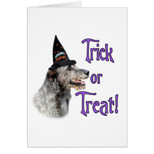 Trick irlandés Wolfhound