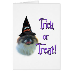 Trick Pekingese