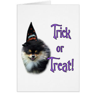 Trick Pomeranian