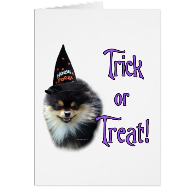 Trick Pomeranian (Frente)