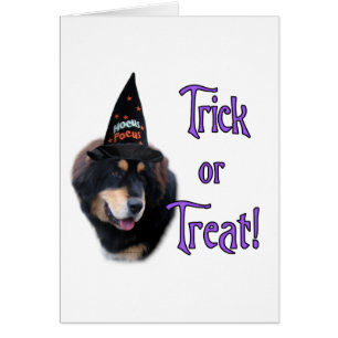 Trick Tibetano Mastiff