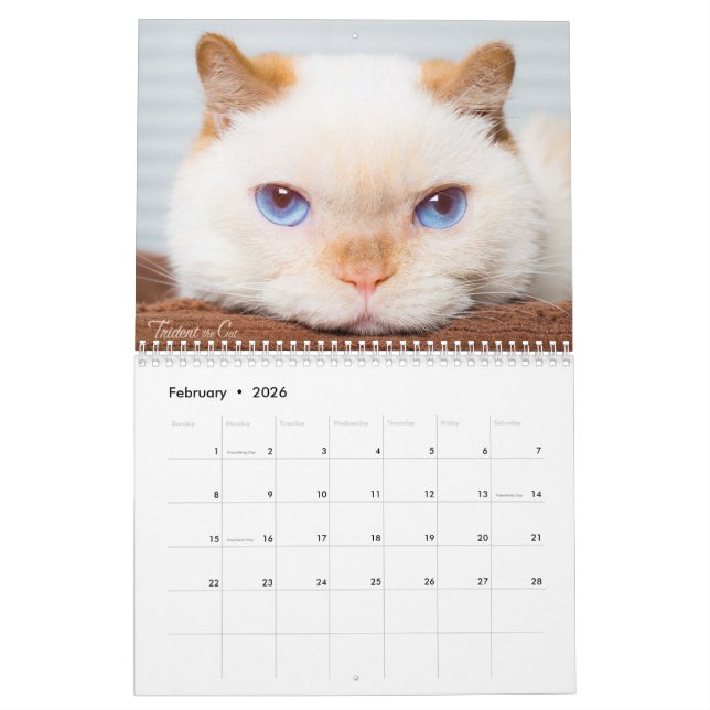 Trident 2017 el calendario del gato (Feb 2026)