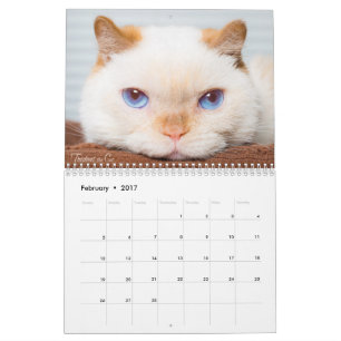 Trident 2017 el calendario del gato