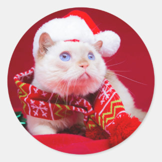 Trident the Cat Mini Round Pegatina