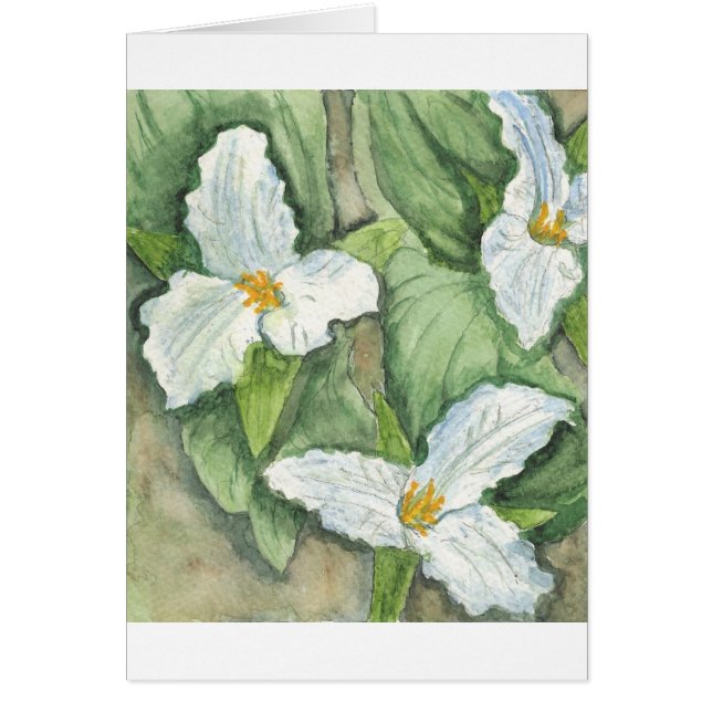 Trillium (Frente)