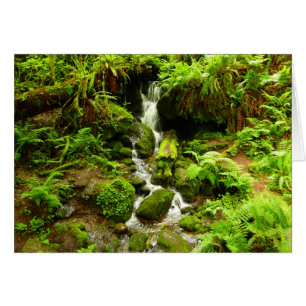 Trillium Falls en el Parque Nacional Redwood