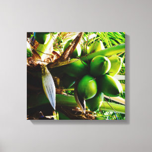 ~ Trinidad del arte de la lona del ~ de los cocos