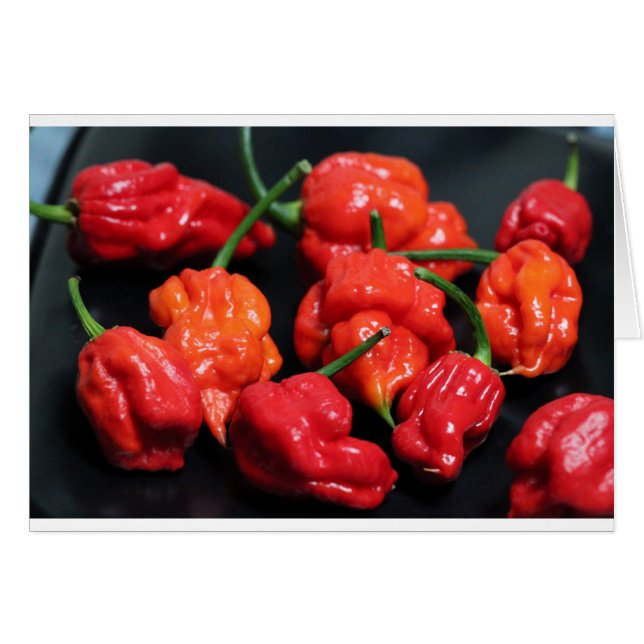 Trinidad Scorpion Hottest Chili (Anverso (Horizontal))
